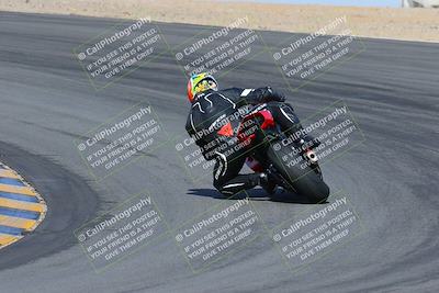 media/Feb-04-2023-SoCal Trackdays (Sat) [[8a776bf2c3]]/Turn 10 Backside (1010am)/